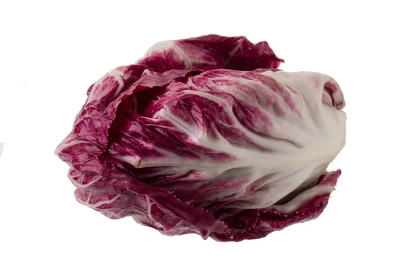 Radicchio Ensalada Roja Aislada Sobre Fondo Blanco —  Fotos de Stock