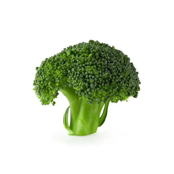 Fresh Broccoli Blocks Cooking Isolated White Background — Stock Photo, Image