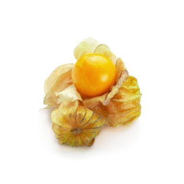 Cape bektaşi üzümü, Physalis meyve ya da golden berry wh üzerinde izole