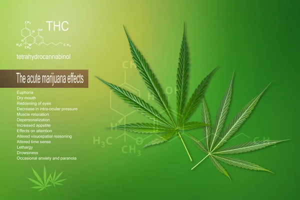 Acute Marijuana Effects Green Cannabis Leaf Green Background — Stock Photo, Image