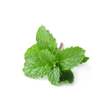 Mint leaves isolated on a white background. clipart
