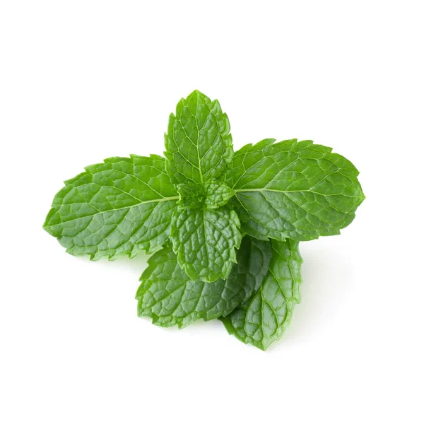 Mint Leaves Isolated White Background Stock Picture