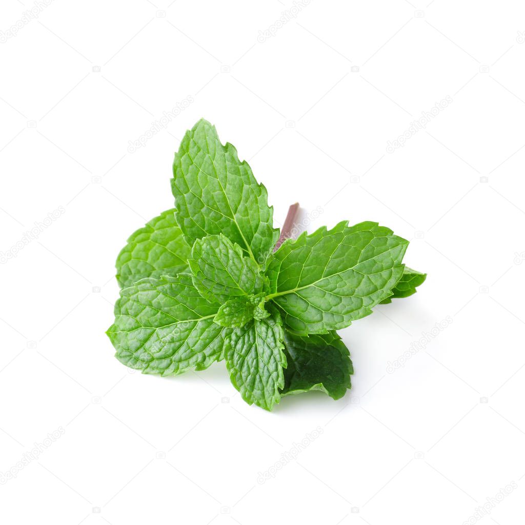 Mint leaves isolated on a white background.