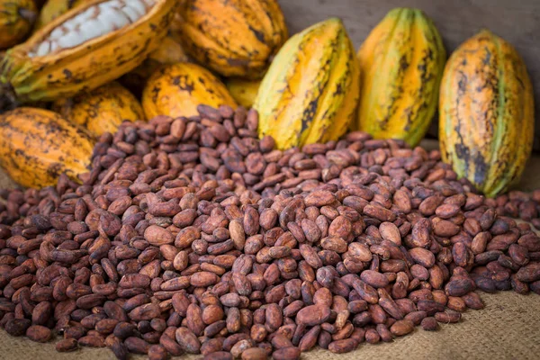 Maturare Baccello Cacao Fagioli Installazione Sfondo Legno Rustico — Foto Stock