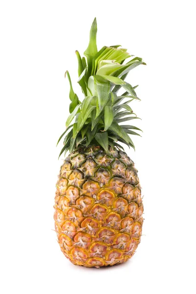 Pineapple White Background Studio — Stock Photo, Image