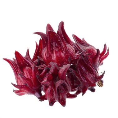 Beyaz arka planda Roselle Hibiscus Sabdariffa kırmızı meyve çiçeği.