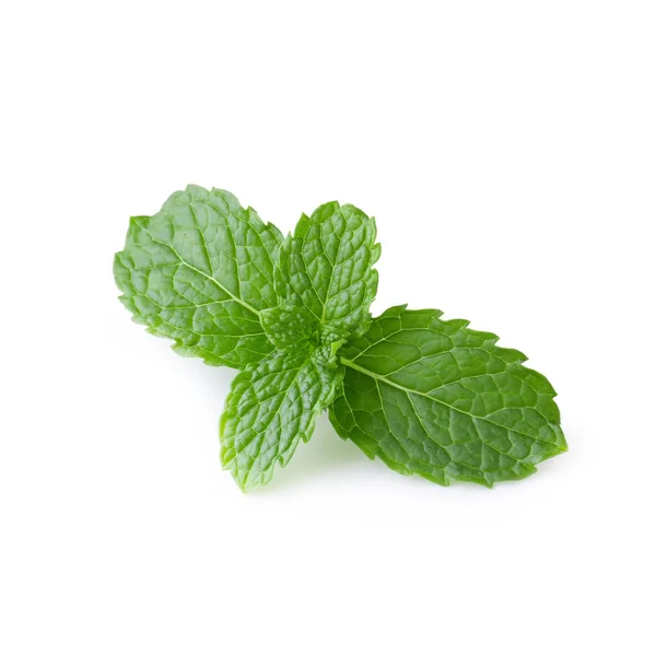Mint Leaves Isolated White Background — Stock Photo, Image
