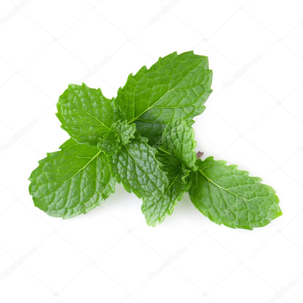 Mint leaves isolated on a white background.