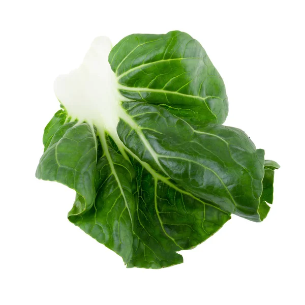 Lettuce leaves isolated on a white background — Stock Photo, Image