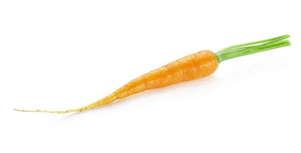 在白色背景查出的小胡萝卜蔬菜束 — 图库照片