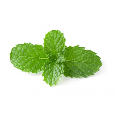 Nane yaprakları beyaz arkaplanda izole edilmiş.