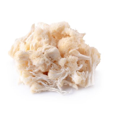 Yamabushitake mantarı ya da aslan yelesi mantarı beyaz üzerine izole edilmiş.