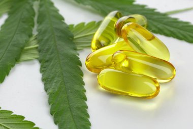 Beyaz arka planda esrar esansiyel yağı Kapsüller.