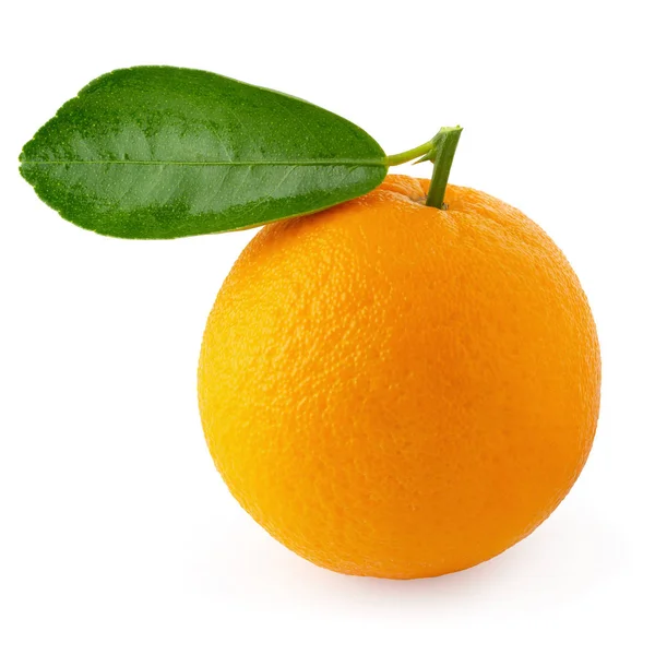 Fruta laranja isolada sobre um fundo branco — Fotografia de Stock