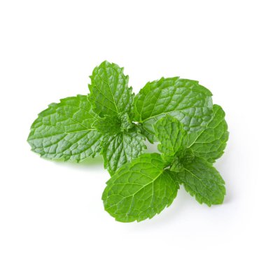 Nane beyaz bir arka plan üzerinde izole yaprakları.