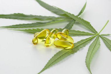 Beyaz arka planda esrar esansiyel yağı Kapsüller.