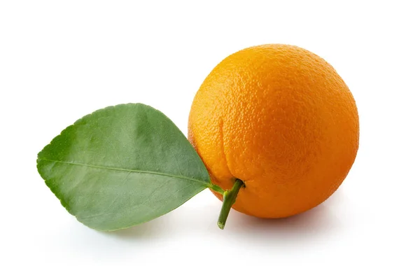 Orange fruit isolated on a white background — Stock Photo, Image