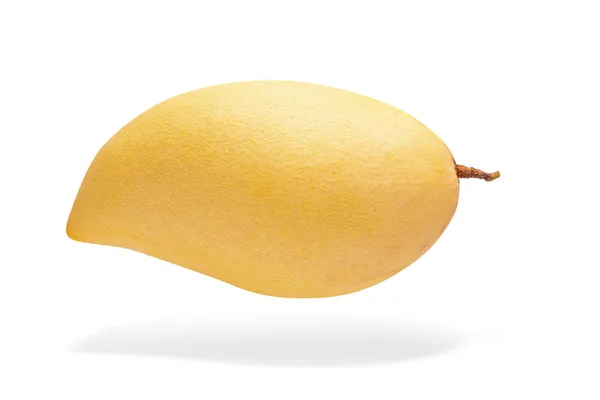 하얀 배경에 분리되어 있는 노란 망고 열매 — 스톡 사진