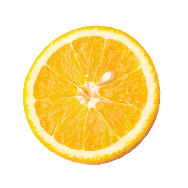 新鮮なスライスされたオレンジ白の背景に隔離された｜Wellcoda最高品質の素材私たちveこのパーカーの材料が最高の快適さを提供する。 — ストック写真