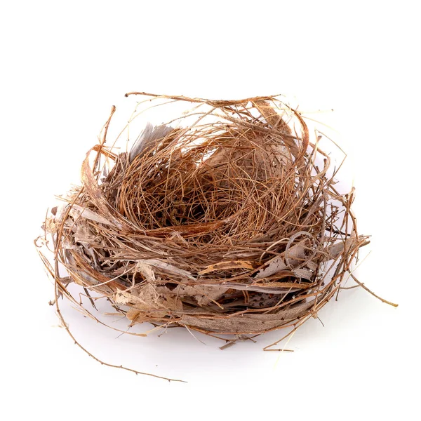 Lege vogel Nest geïsoleerd over een witte achtergrond. — Stockfoto