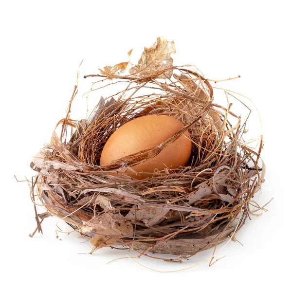 新鲜鸡蛋坐在一个天然的巢，隔离在白色背景 — 图库照片