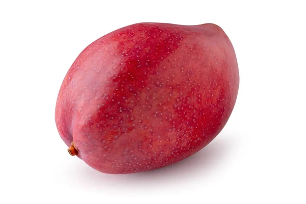 Fruto de mango aislado sobre un fondo blanco — Foto de Stock