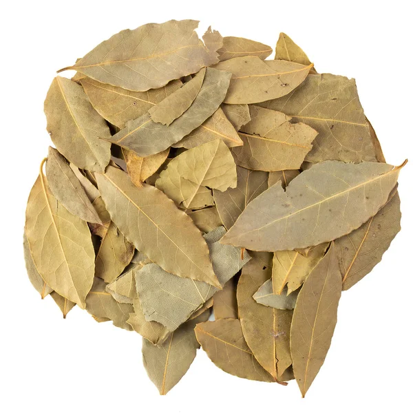 Suszone liście laurowe izolowane na białym tle — Zdjęcie stockowe