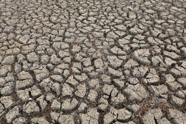 Crack soil on dry season, Global worming effect — Stock Photo, Image