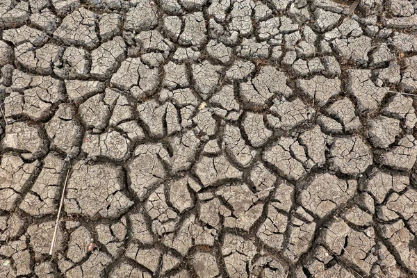 Crack soil on dry season, Global worming effect — Stock Photo, Image