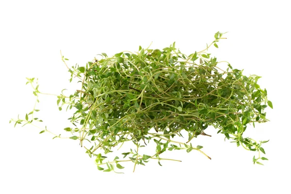 Tymianek świeże zioło izolowane na białym tle — Zdjęcie stockowe