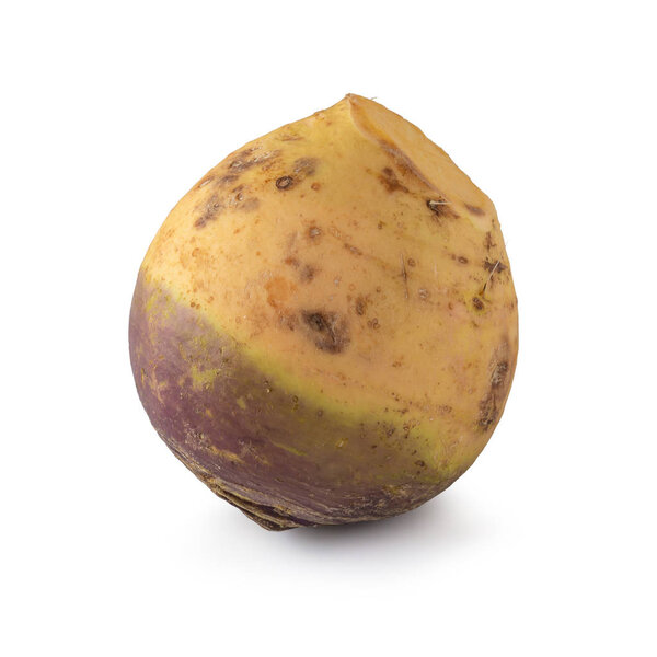 Fresh Turnip Swede isolated over white background.