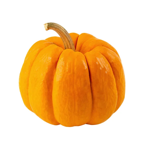 Orange miniature pumpkin isolated on white background — Stock Photo, Image