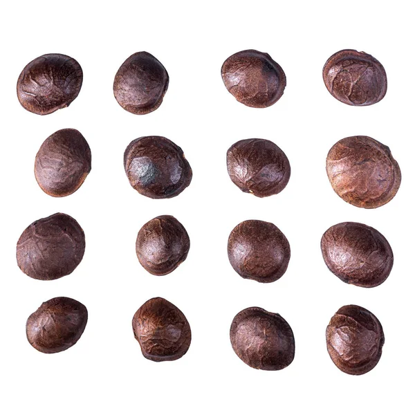 Legumes Sacha Inchi Inca Peanut Сушеные Инчи Саша Орехи Изолированы — стоковое фото