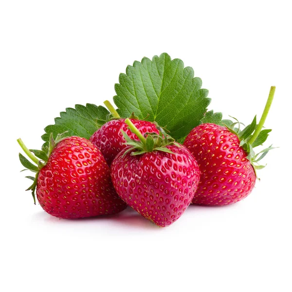 Strawberries Leaves Isolated White Background — Stock Photo, Image