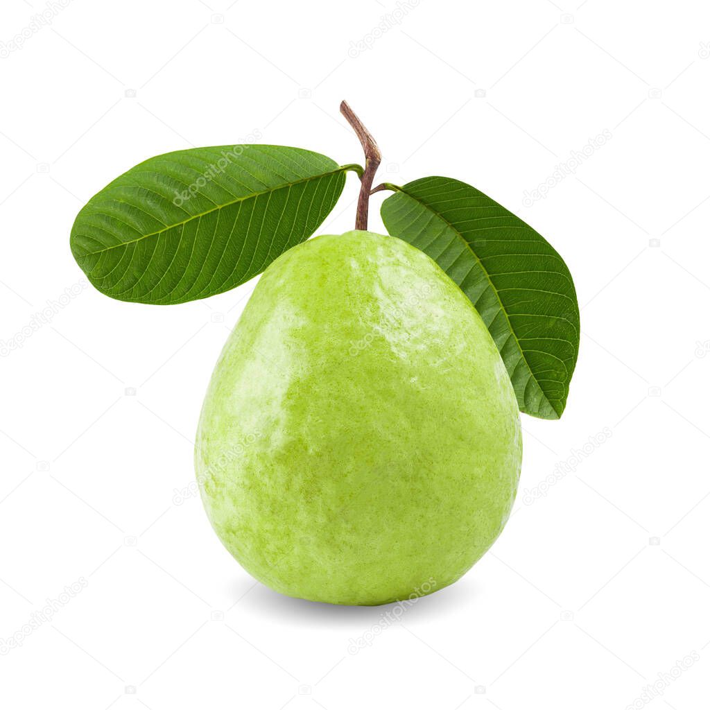 Guava fruit with leaves isolated on the white background.