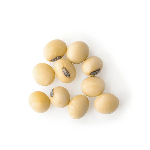 Close Soybean Isolated White Background — Stock Photo, Image