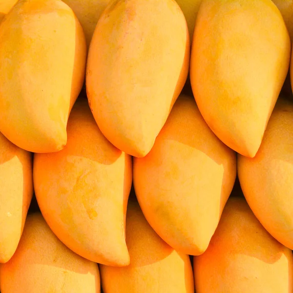 Taze mango geçmişi. Organik meyveler, sağlıklı beslenme. Seçici odak.