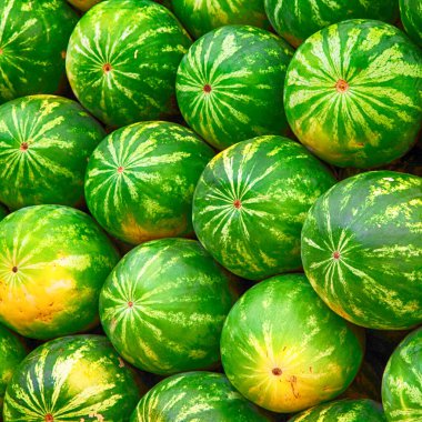 Süpermarkette zevk için olgun, lezzetli karpuzlar. seçici odak