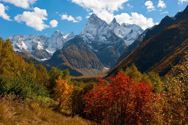 Vue Sur Montagne Chotcha Automne Dombay — Photo