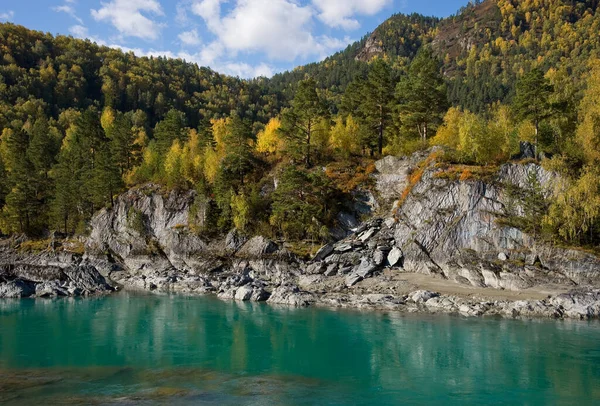 Katun river in autumn - turquoise color, Altai.