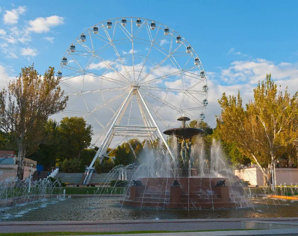 Brunnen Und Riesenrad Rostow Don — Stockfoto