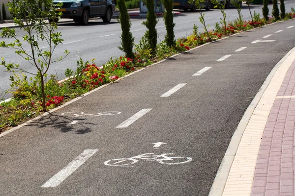 Bisiklet için boş bisiklet yolu, yeşil yol, parkta bir patika. Açık yolda bisiklet yolu işareti
