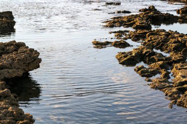 Akdeniz kıyısında taşlar var.