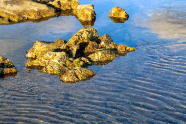 Akdeniz kıyısında taşlar var.