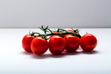 Daldaki domatesler. Güzel yeşil dalı olan güzel domatesler. Sebze arka planı. Kopyalama alanı olan yiyecek arkaplanı.