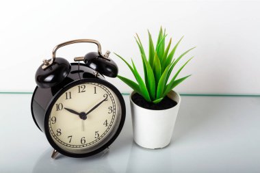 Beyaz arkaplan ve metin boşluğunda alarmlı saat ve aloe vera. Zaman kavramı değerlidir..