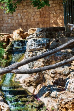 Kahverengi ayı suyun kenarında taşların üzerinde oturuyor.