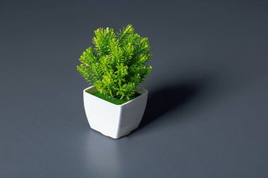 Ot ahşap masa arkaplanına ya da metin veya tasarım için duvar kağıdı kopyalama alanına yerleştir.