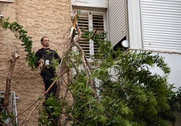 Man with the chainsaw. Dangerous job. Powerful chainsaw. Lumberjack hold chainsaw. Gardener lumberjack equipment. Working in the garden near home during quarantine.