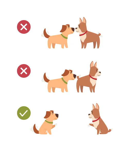 Köpekler sosyal mesafeyi de korurlar. Hayvanlar güvenlik önlemlerini uygularlar, yürürken birbirleriyle temas kurmazlar, birbirlerini uzaktan selamlamazlar. Çizgi film tarzında uzaklık posteri, Vektör illüstrasyonu